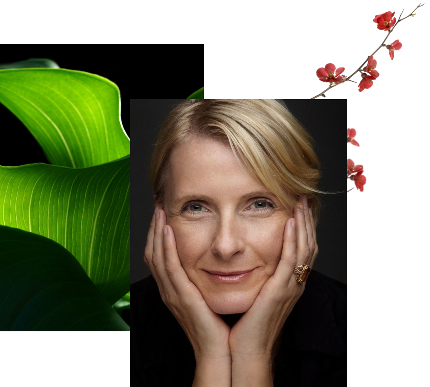 Lilya Sabatier: Elizabeth Gilbert